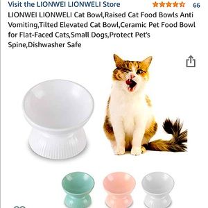 Tilted Orthotic Cat Feeding Bowl (Anti-Vomiting)